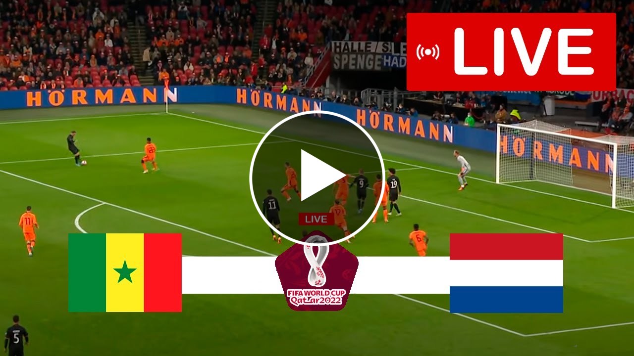 Senegal vs Netherlands LIVE | FIFA World Cup 2022 – Group B – Round 1 | Full Match LIVE